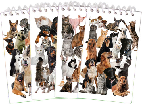 Kitty and Puppy Notepads